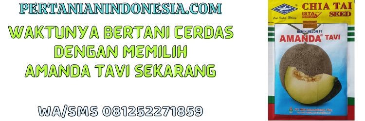 jual,murah,terjangkau,toko pertanian terdekat,pertanian indonesia